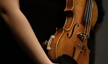 7 Curiosità sul Violino